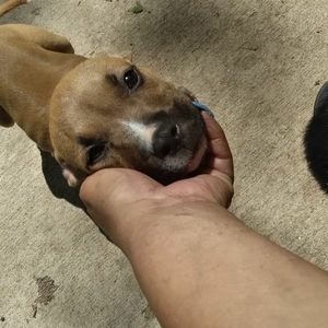 Meet your Posher, Barbara